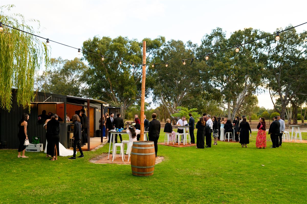 Lawn party with festoon lights and wine barrels